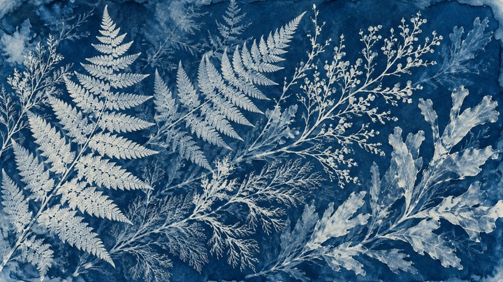 Tidal Herbarium · 16:9